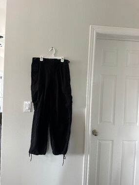 Aritzia cargo pants